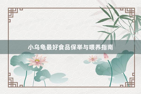 小乌龟最好食品保举与喂养指南