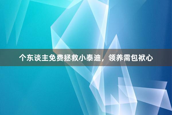 个东谈主免费拯救小泰迪，领养需包袱心